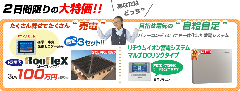 ２日間限りの大特価！あなたはどっち？　売電　自給自足